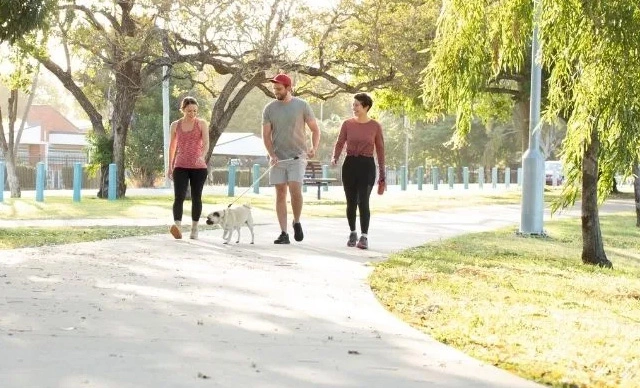 Three friends walking a dog in a park