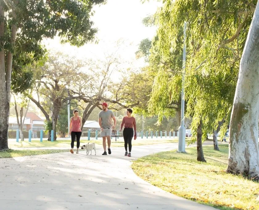 Three friends walking a dog in a park
