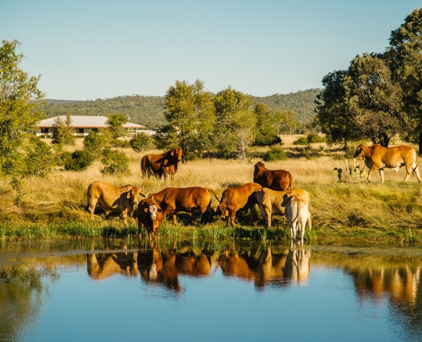 Rockhampton_840x680.jpg