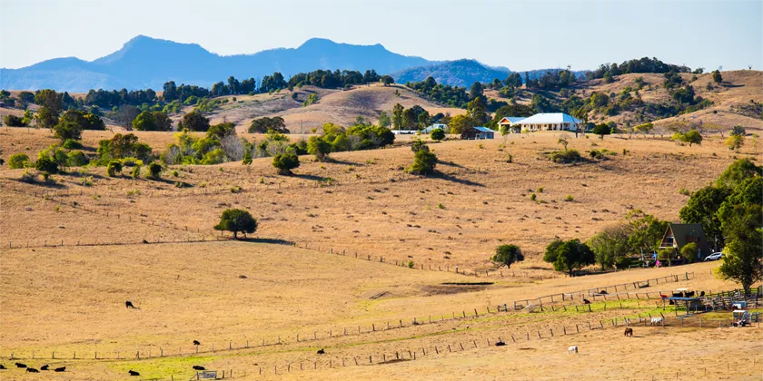 Dry rural landscape with rolling golden hills, scattered trees, grazing livestock, and farm buildings set against a backdrop of blue mountains under a clear sky.