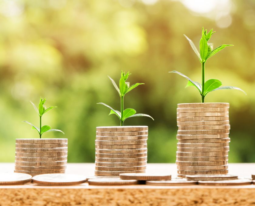 Principles of gardening and finance_840x680.jpg