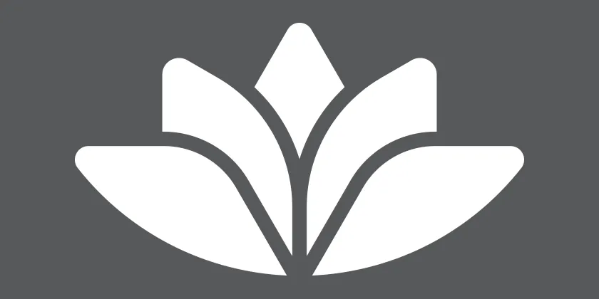 White Queensland Country Bank Lotus on a grey background.
