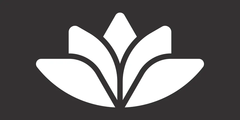 White Queensland Country Bank Lotus on a dark grey background.